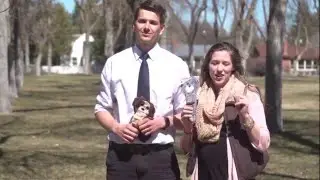 Buckle Away Sneak Peak