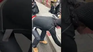 #music #прикол #musica #юмор #nature #prank #people #пранк #video #топ #youtubeshorts #top #topnews