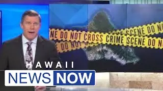 In twist, female passenger indicted as 3rd suspect in murder of Mililani driver