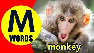 Words Starting With M - Learn Words that Start with M Sound