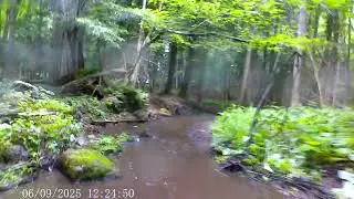 1985 Honda Big Red 250 ES & Honda 185S Trail Riding - Bliss New York