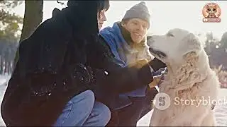 Winter's MOST HEARTWARMING Story of Kindness and Community