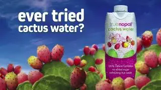 Try True Nopal Cactus Water