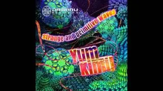 Yum Kimil - Lunatic Slug 190bpm (Damaru Records)