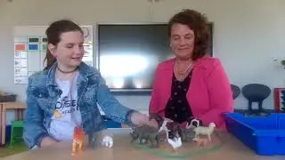 Van pakken tot plakken