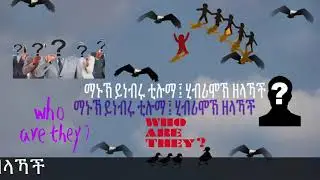 Harari Faqar Mugad ሐራሪ ፈቀር ሙጋድ Part I - Part 1 of 9