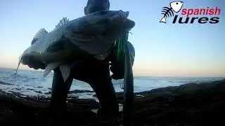 Robalos spinning Julho 2022🎣 Costa Alentejana Portugal🌊 SPANISH LURES ❤🖤
