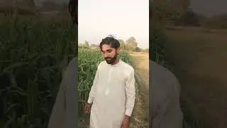 Allah hu Allah Waris Ali 455