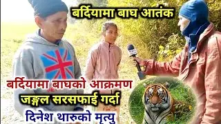 बर्दियामा बाघको 🐯 आक्रमण | बारबर्दियामा दिनेश थारुको मृत्यु | बर्दिया खबर | Bardiya Khabar | #tiger 