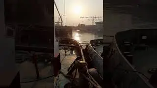 Golden Water of River, Sunset Time. #youtube #shorts #sunset #river #marinelife