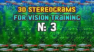 3D stereograms for vision training №3 | BeRMuN