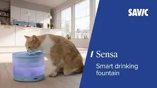 Fresh Flowing Water, Smarter Drinking | Sensa Water Fountain by Savic