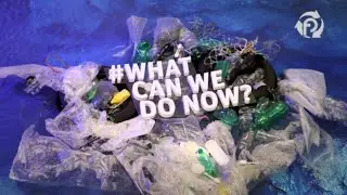 Plastic finance new crypto project invest and earn profit