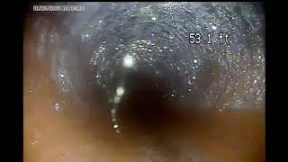 20260126 110302
