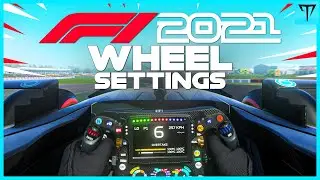 F1 2021 Game: WHEEL SETTINGS