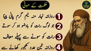 Wisdom Quotes | Hikmat Ki Batain | ilm Ki Batain | Luqman Hakeem Quotes | wisdom of 360