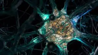 VLOOPY - NEURO - VJ LOOP