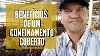 VANTAGENS DE CONFINAR O GADO EM AMBIENTE COBERTO.