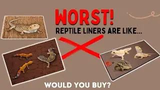 Which Reptile Carpet is BEST / WORST - Reptile Carpet Comparison - Water Test