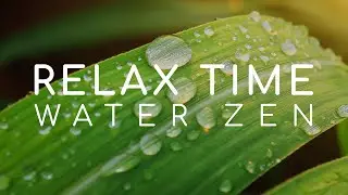 Relaxategy - Relaxing Dripping Water After Rain With Zen Meditation Music 90 Minutes