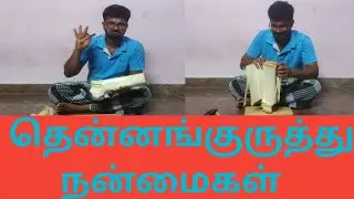 தென்னங்குருத்து அறுவடை@crnr.prasanth2019