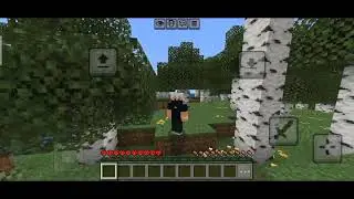 MINECRAFT HARD COVER SERIES 
