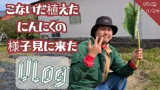 こないだ植えたにんにくの様子見に来たVlog。