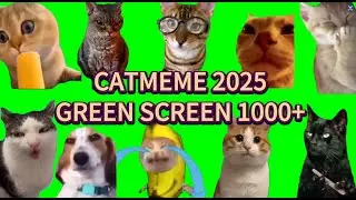 1000-Hilarious Cat Meme Green Screen Clips &ndash; The Ultimate Compilation! || Catmeme Club🤣