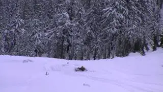 AVALANCHE - SNOWMOBILE Near DEATH