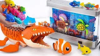 [Toy asmr] RC Mosasaurus & RC Nemo & Zuru Robo Fish & Harp's Aquarium ASMR Satisfying with Unboxing