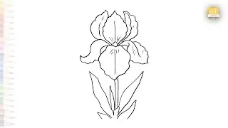 Iris flower drawings easy | Art tutorial | How to draw Bearded iris flower step by step #artjanag