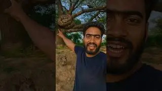 Save Tree save Life 😱 #savetrees #life #shorts #vlog