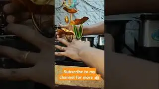 HOW to set up!? Beautiful Copper water fountain for home decor ⛲ mind relaxing & soothing @jonu27