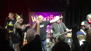 WUNDERBACH « Back to  No Future » 15/06/2024@Le Cirque Electrique Paris