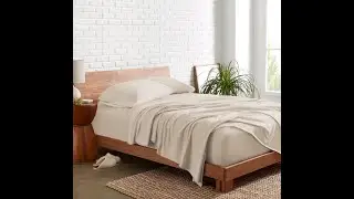 Bare Home 100% Organic Cotton Jersey Sheet Set, Ultra Soft & Pillowcases - 16