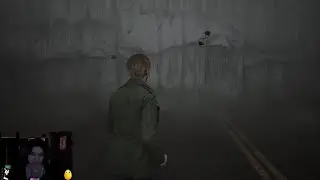Акума играет в Silent Hill 2 akumaqqe [1]