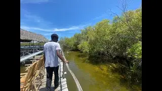 Mida Creek Conservation Chama DAO Research