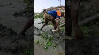 Best Village Fishing Video During Dry Season #fishing  #fish #bigfish #freshwaterfish #fishingvideo
