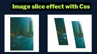 Hover effect using on image CSS 2023 | Papa Developer