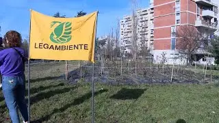 Ambiente, a Scampia la &ldquo;microforesta di comunit&agrave;