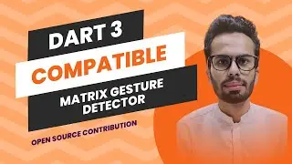 Matrix Gesture Detector compatible with Dart 3 | Flutter | Dart | updated version of package 2024