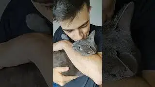 Пипока такая милая 🥰 #вирусное #кот #кошки #музыка