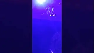 Leeroy Thornhill Playing Altern-8 (Sofia/30/12/23)