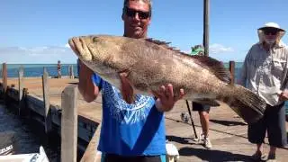Fishing Shark Bay