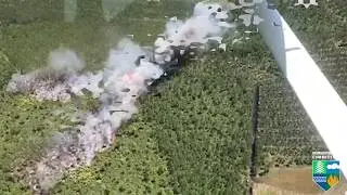 Wildfire Coverage in Appling GA