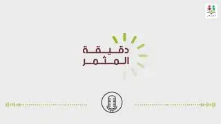 دقيقة المثمر : تقنيات أخذ عينات التربة في زراعة الزيتون