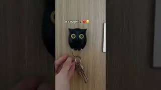 Meet the Hoot Hanger - Adorable Owl Keyholder | Cool Gadgets & Gift Ideas