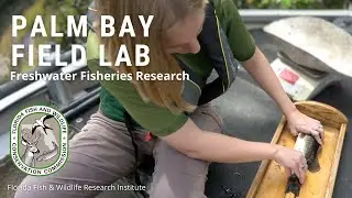 Palm Bay Field Lab
