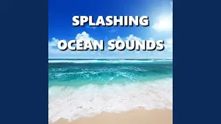 Cultivated Ocean Sounds