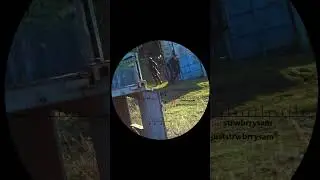shooting from spawn? ⛔ DENIED ⛔